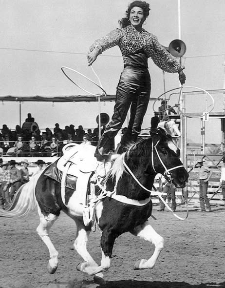 You are currently viewing Nancy Sheppard Globe, AZ. Death, Obituary: Gila County cowgirl Has Passed Away